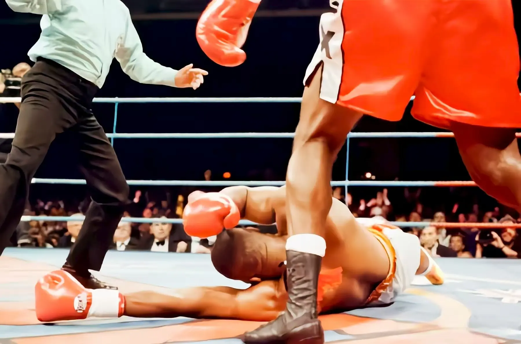 拉多克认为 拉多克认为